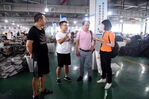 江苏台摄制组聚焦大龙，专题片摄制展现独特风采