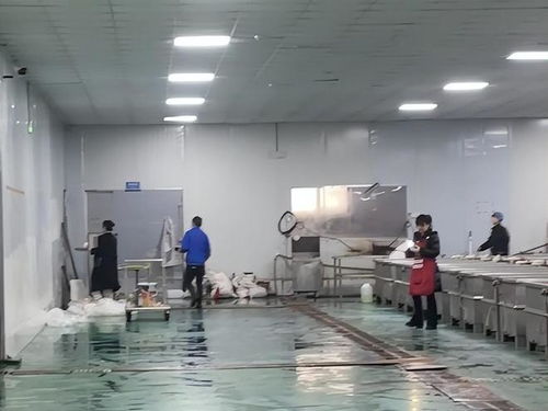 鹿哈毛肚爆单三千万 品质危机与供应链谁人兜底？